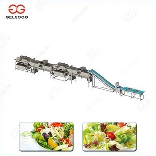 Salad Processing Kab