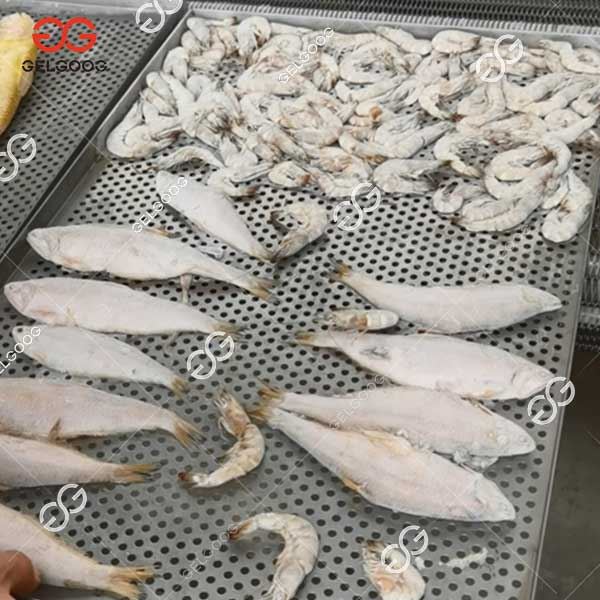 Squid Freezing Machine